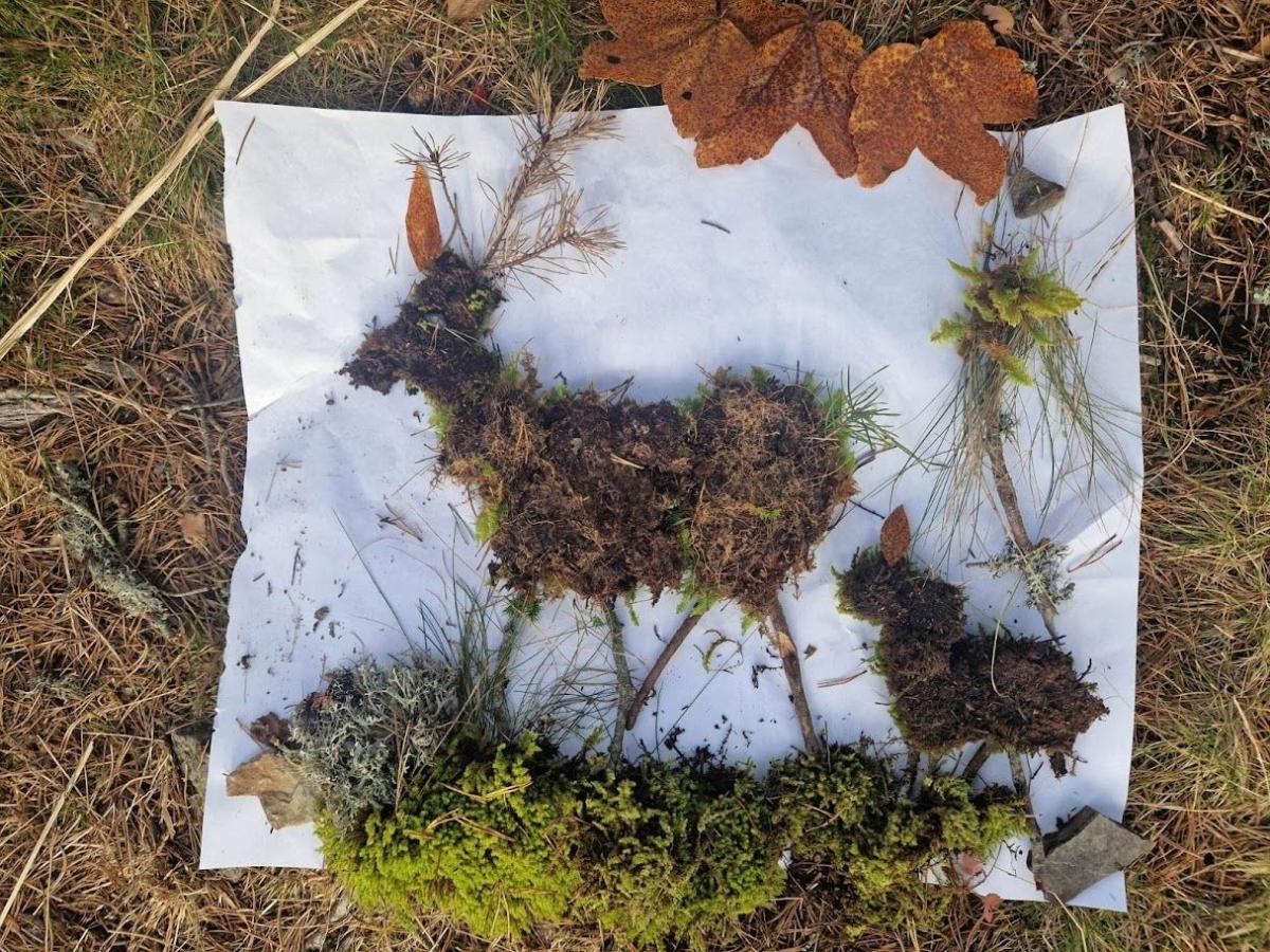 Erfaringsseminar for friluftskolene  - headerbilde